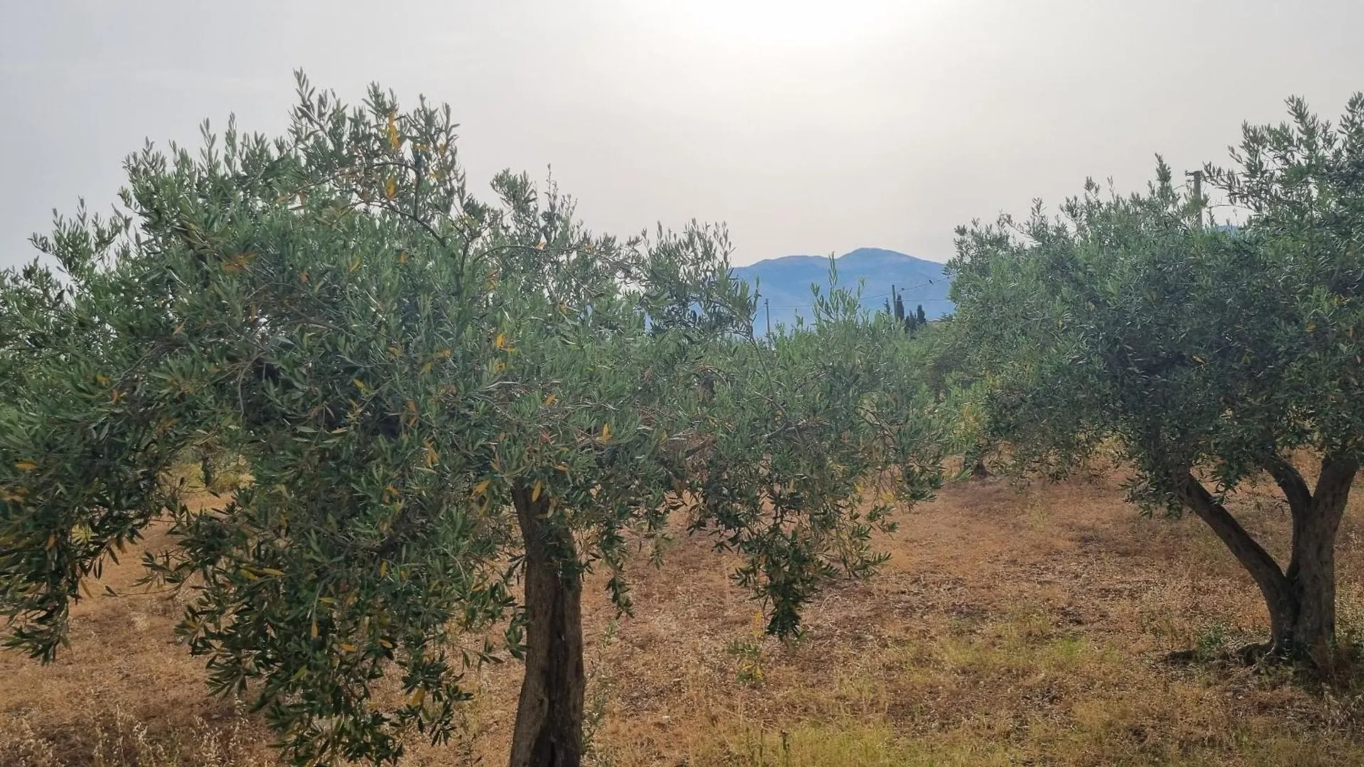 Onda Blu Apartman Carini 0*,  Olaszország